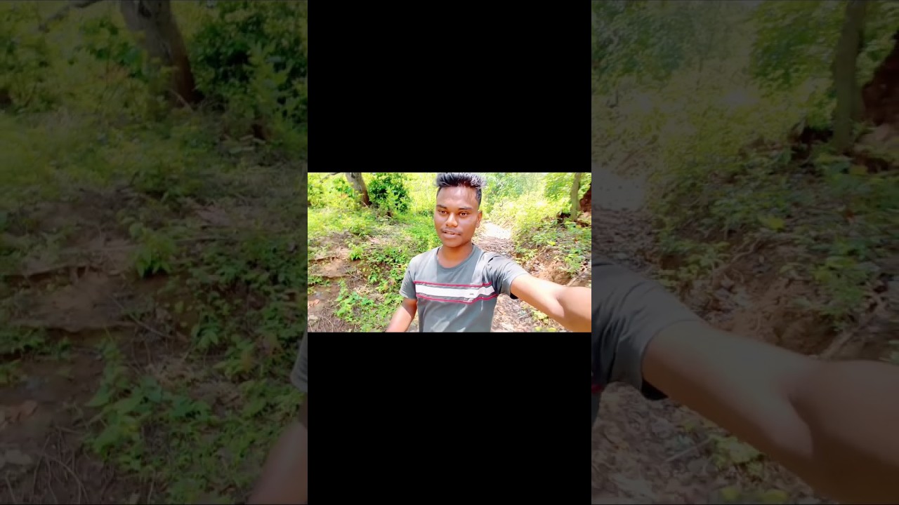 mini vlog😍 #youtubeshorts #storts #firstvlog #jungle