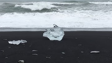Count the Waves (Kupu Kuwi)