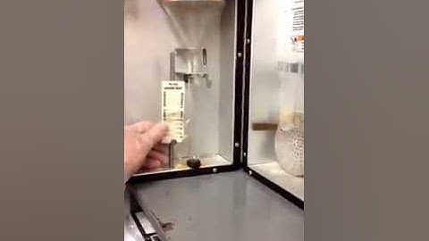 Hobart F101 Ground Beef Analyzer | Step By Step Testing Process With Meat Manager