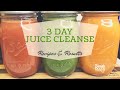 3 Day Juice Cleanse Recipes