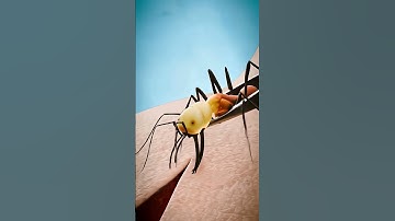 Using Ants To Stitch Wounds 🐜 Nature’s Incredible Trick!_20251015_1850