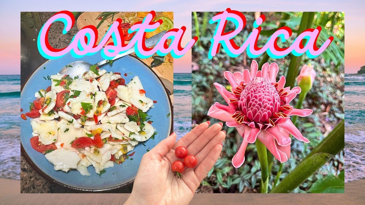 RAW VEGAN FOOD AND ADVENTURES IN COSTA RICA PART 1 LIFE OF A RAW