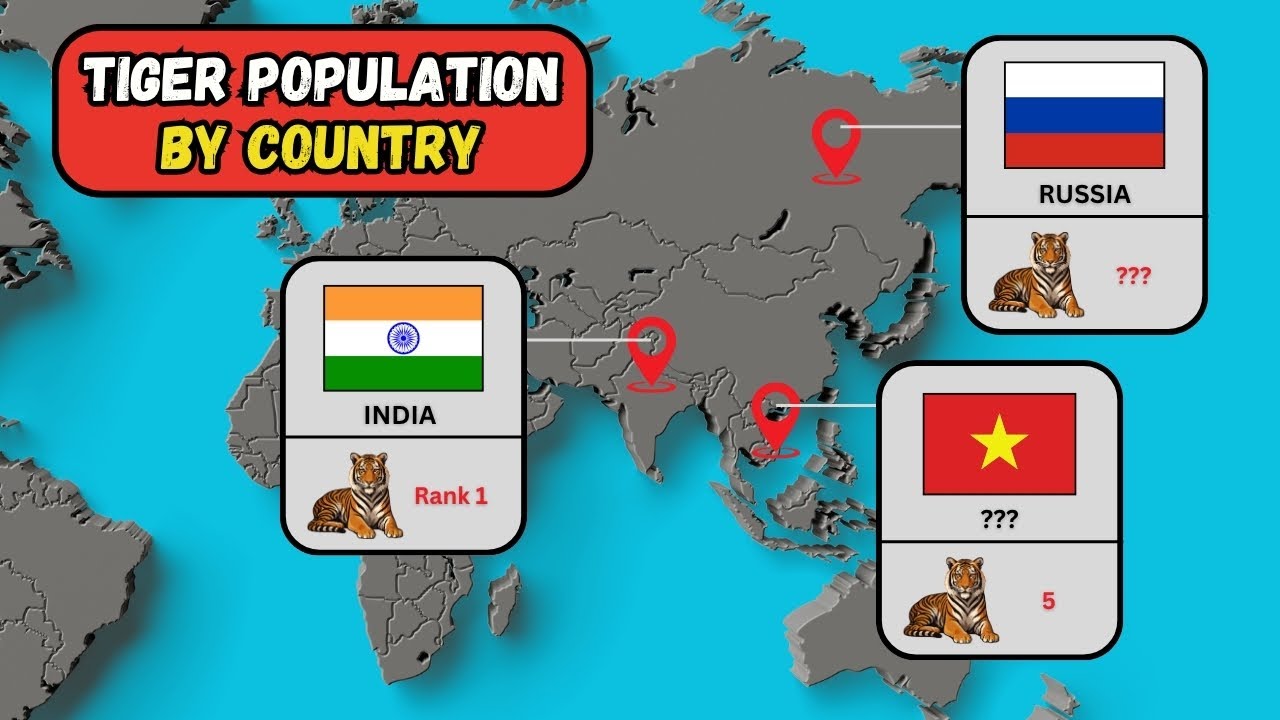 Tiger Population by Country 2025