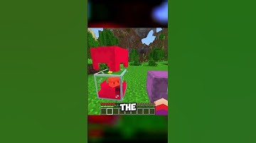 Bedrock Shulker be like