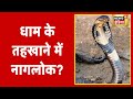 महादेव के 'नागदेव' ! धाम के तहखाने में नागलोक? | Aadhi Haqeeqat Aadha Fasana