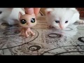 LPS Minişler Efe ve Sevimli Ailesi #vlog... Karamel TV