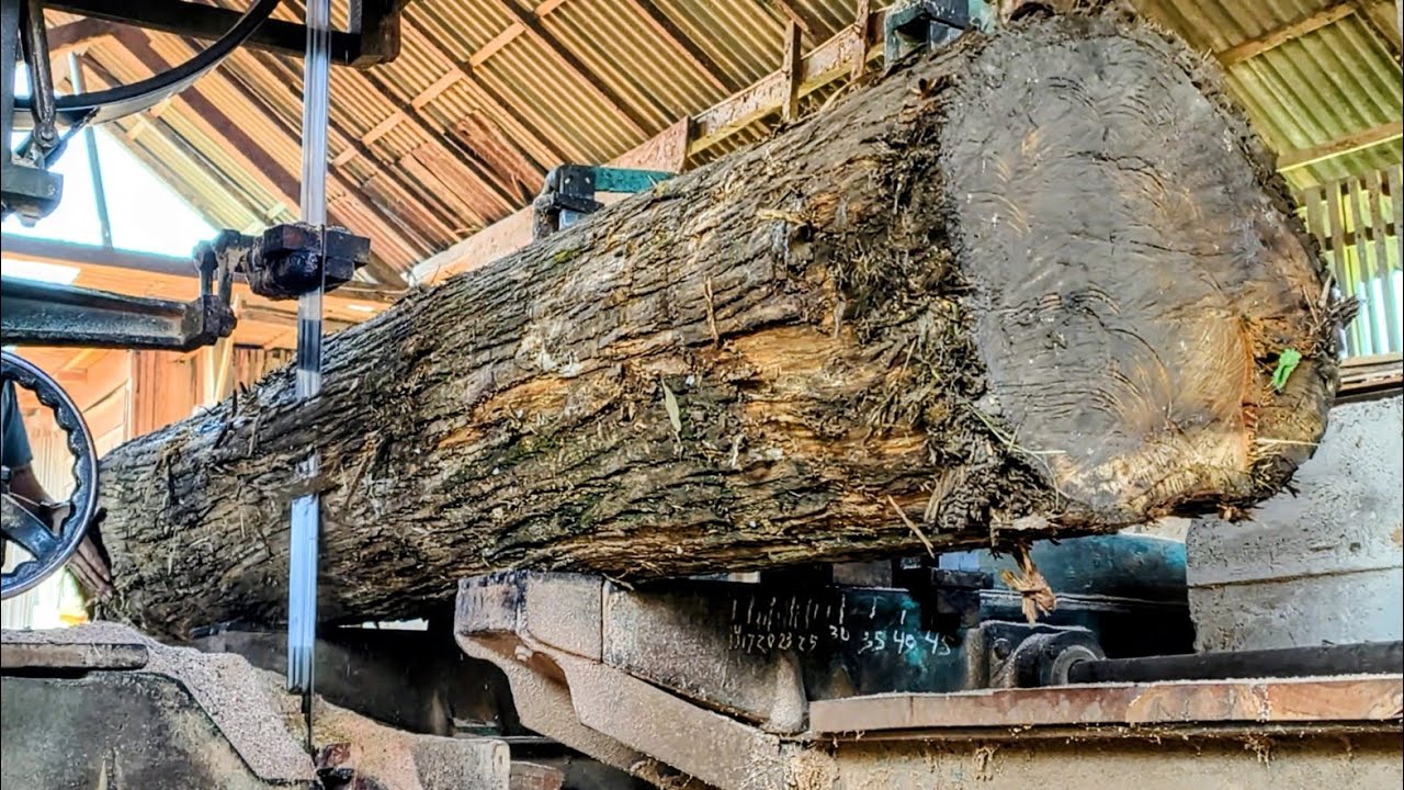 This is the process of sawing abandoned teak wood into high-quality ...