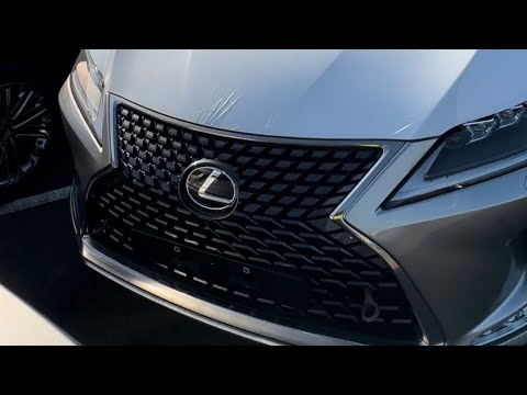 Лексус рх300 2022
