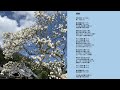 さだまさし 惜春