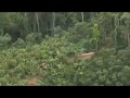 North Sentinel Island drone view (India)