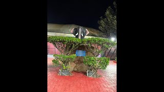 Archana gautam is live