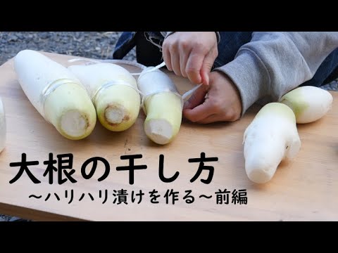 料理女子 漬物作りの基本 大根の干し方 結び方 ハリハリ漬けを作る 前編 J Blastクッキング Youtube