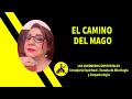 El Camino del Mago