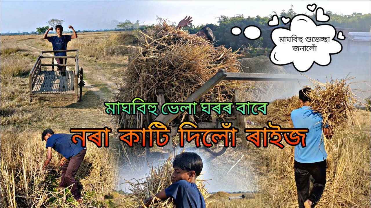 ভেলা ঘৰৰ বাবে নৰা কাটি দিলোঁ ৰাইজ 🌹 video 360p উপৰত চাব 🍂 thank you for watching 