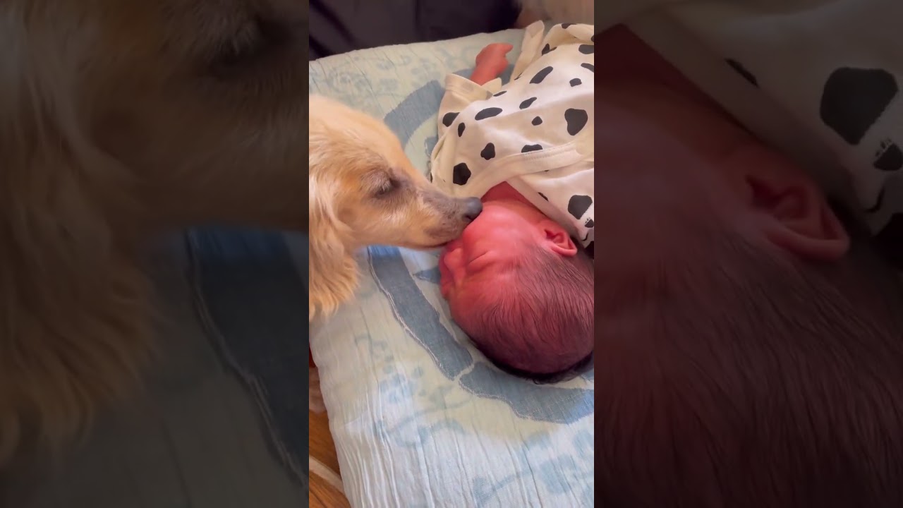 ピーター君朝の挨拶2023年9月1日