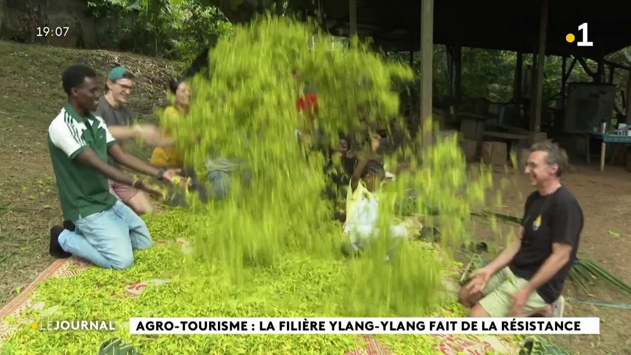 Agro-tourisme : la filière ylang-ylang fait de la résistance