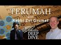 Why God Prefers Our MISTAKES | Parshat Teruma Deep Dive with Rabbi Tvi Grumet