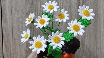 Hướng dẫn móc hoa cúc Họa Mi (crochet chrysanthemums flower)