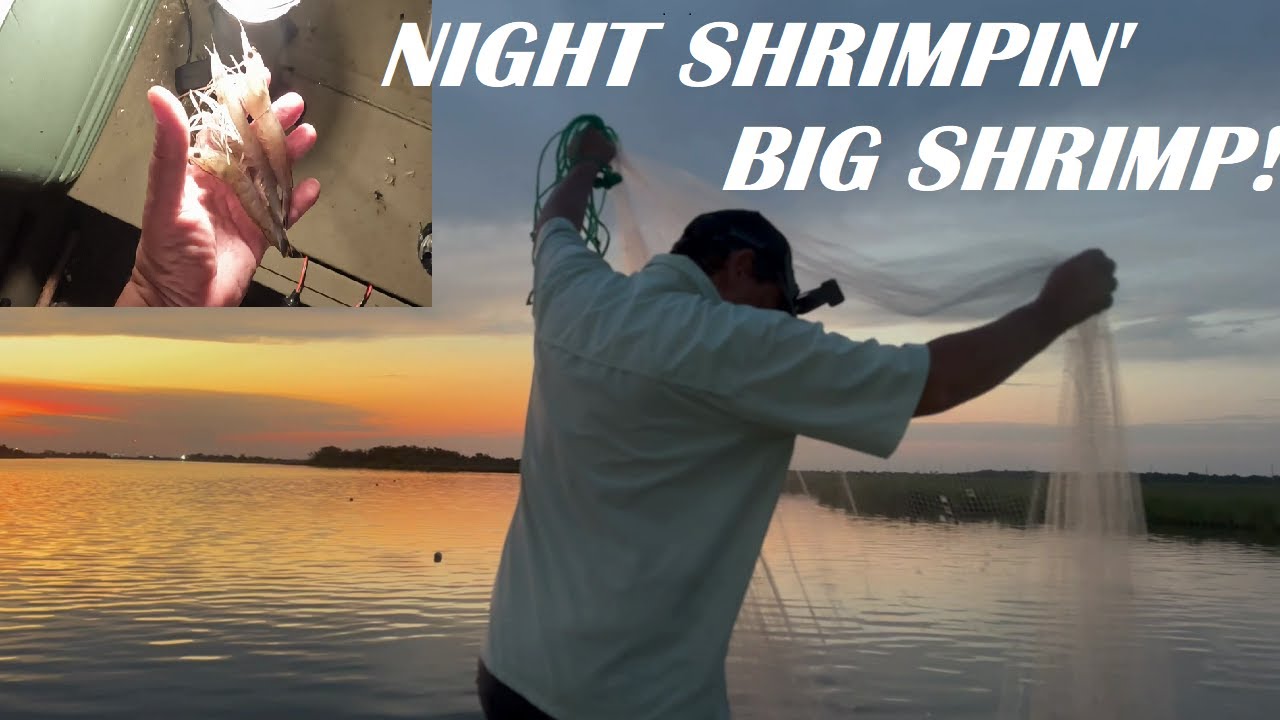 Catching Big Shrimp With a Cast Net At Night in This Bayou & Evening Fishing!