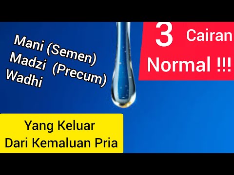 Video: Apabila sesuatu itu phallic?