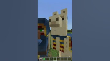 WHY DOES THE WANDERING TRADER EXIST??? #minecraft #survival #gaming