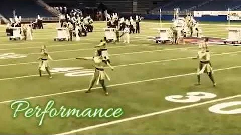 WHS Color Guard