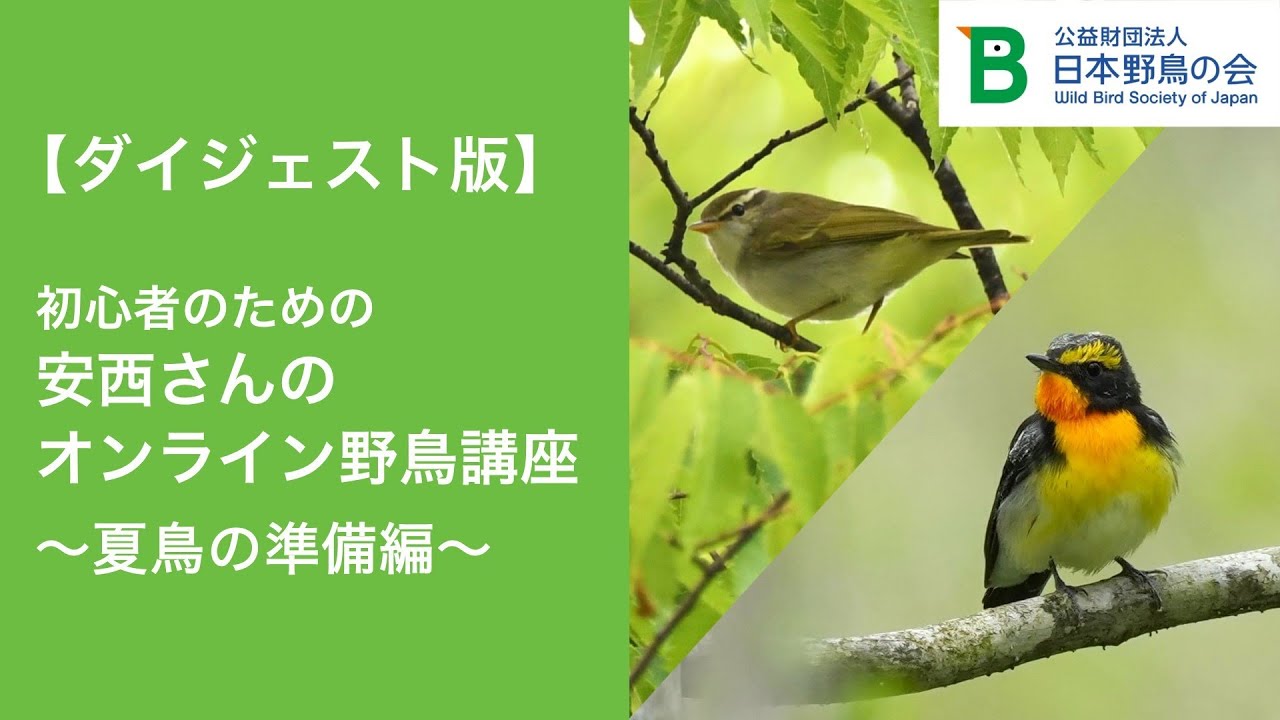 ダイジェスト版】初心者のための安西さんのオンライン野鳥講座～夏鳥の