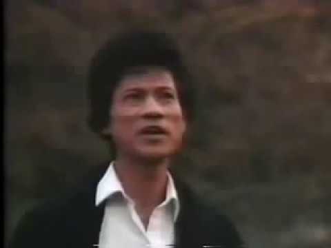 Video Thành Phố Buồn - Chế Linh - youtube