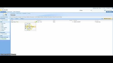 SharePoint Issues How to Add/Edit/Remove Issues - Video 10