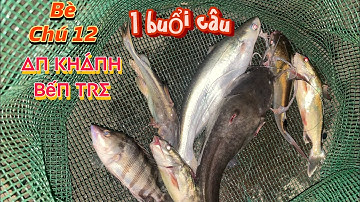 Ghé dịch vụ câu cá sông trên bè ở gần cầu rạch miễu 2, điểm thích hợp câu cá dứa và cá Úc, bè chú 12