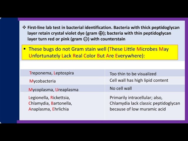 Atypical Bacteria (Non-gram stain)