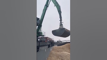 Incredible Grain Loading in Action! 🚜