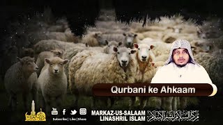 Qurbani ke Ahkaam | by Hafiz Habeebullah Umari | Zul Hijjah Series Ep 03