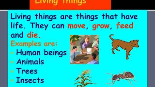 Information KG 2 Cultural Studies wk 6 Update