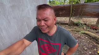 Sipsip Kuno Si Ikang