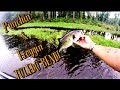 Toledo Bend Froggin &amp; Punchin with Taj
