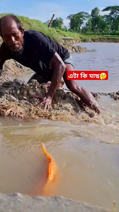 Fishing video