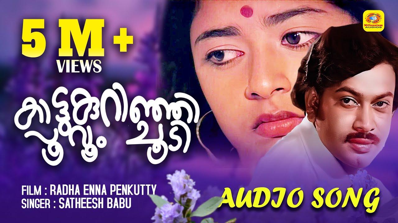 കാട്ടുകുറിഞ്ഞി പൂവും ചൂടി  | Radha Enna Penkutty | Evergreen Malayalam Movie Song | Audio Song