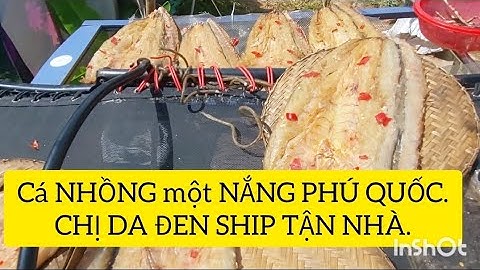 Cá Nhồng một nắng  / Đặc sản Phú Quốc. / chị da đen ship tận nhà.