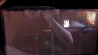 CDs and a Floppy In the microwave.