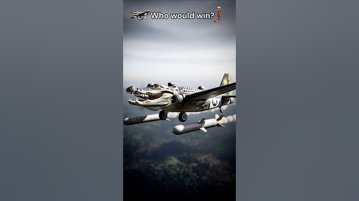 Bombardino Crocodilo vs Real Tung Tung Tung Sahur🐊🤪 Who would win the fight?💥 #brainrot #meme #funny