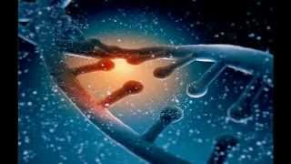 Fingerprint of God? 
