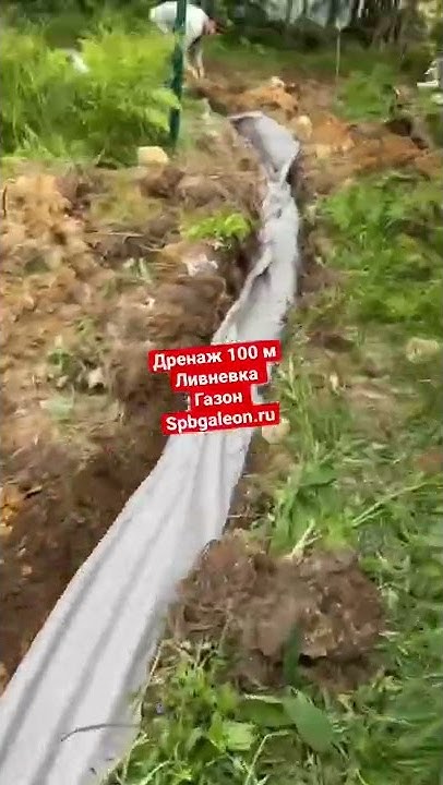 Дренаж на даче #дача #дачныйвлог #строительство #дренаж # ...