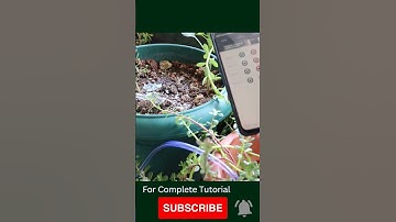 Plant Watering System @AltiumOfficial #shorts #plantwateringsystem #diyelectronics #techprojects #iot #pcb