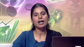 Development of Mathematical Concepts