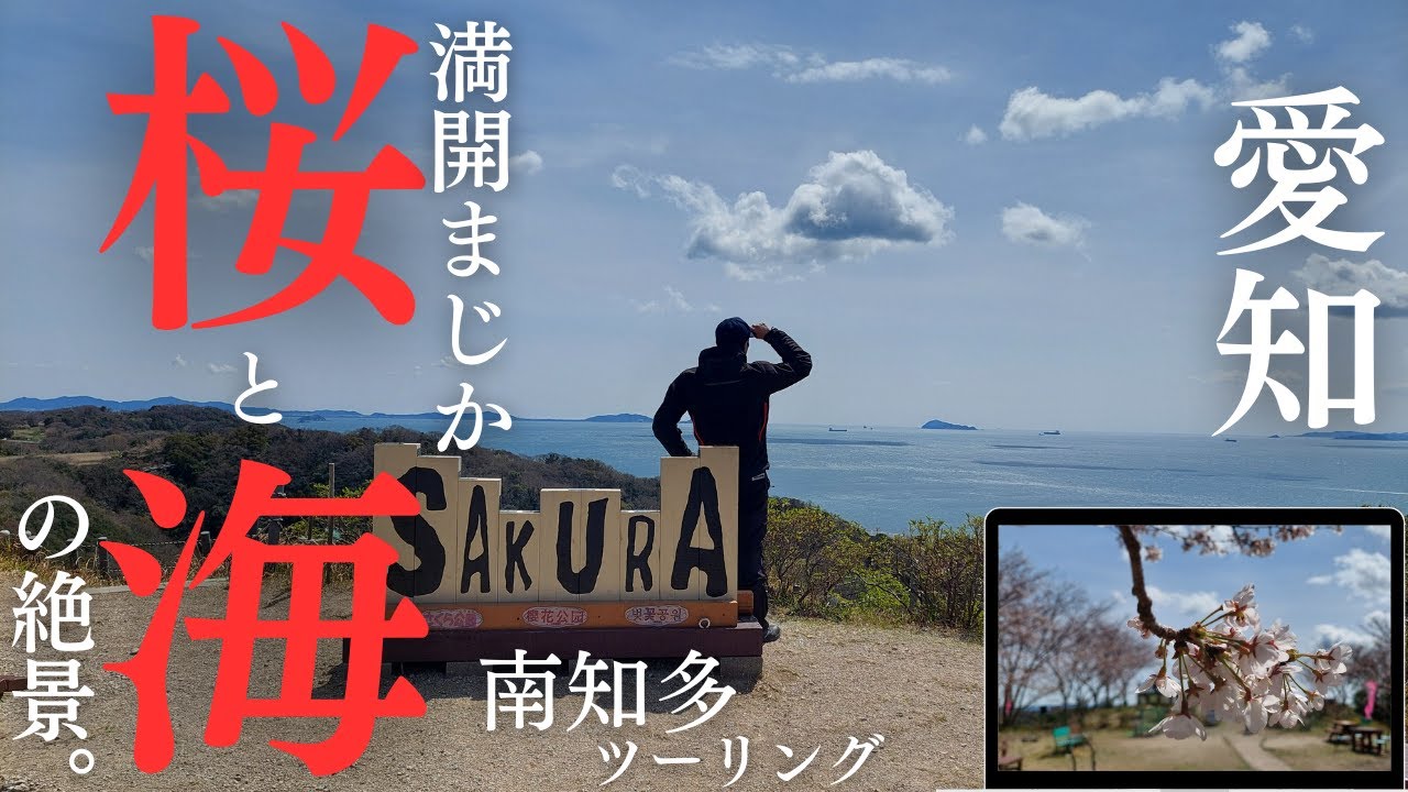 愛知県「南知多ツーリング」満開まじかの桜と海の絶景を見に、初めての広域農道を走って行く！