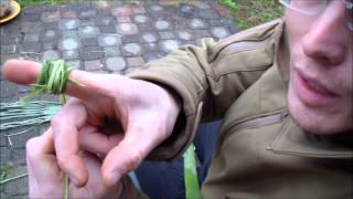 Best Cordage For Florida