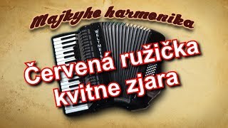Video thumbnail of "Majky - Červená ružička kvitne zjara (akordeón)"