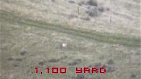 1,100 yard steel 300 wsm