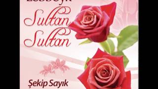 Dünyaya Baş Kaldıran — Şekip Sayık kapak görseli